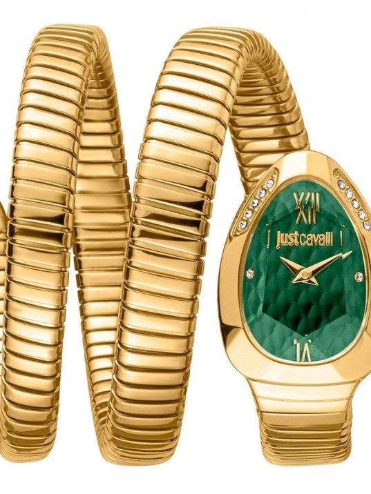 Just Cavalli JC1L224M0045 Kadın Kol Saati