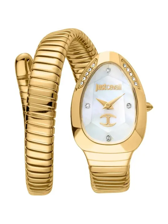 Just Cavalli JC1L229M0025 Kadın Kol Saati
