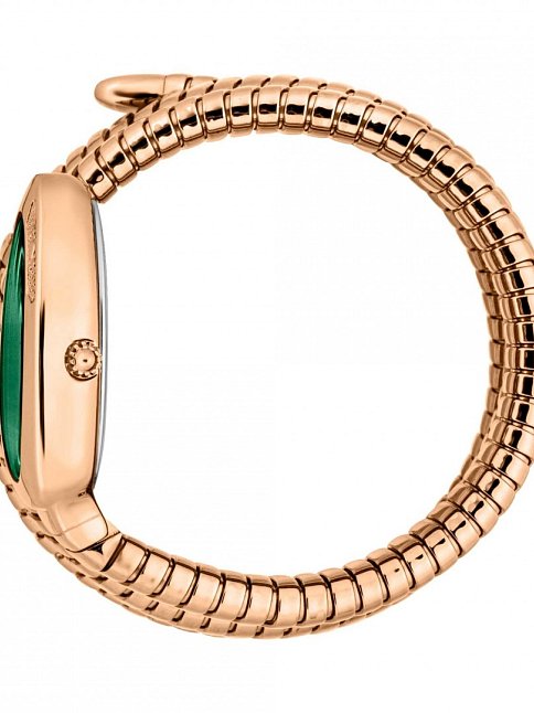 Just Cavalli JC1L232M0045 Kadın Kol Saati