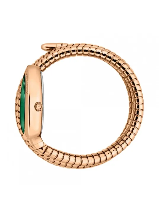 Just Cavalli JC1L232M0045 Kadın Kol Saati