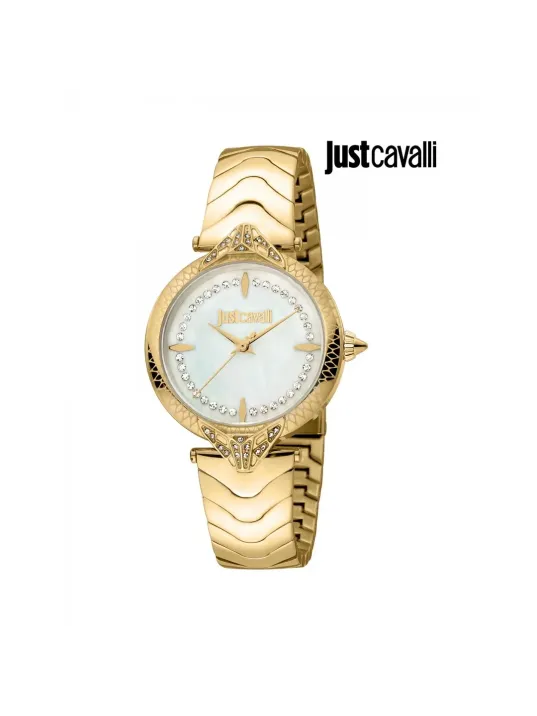 Just Cavalli JC1L238M0065 Kadın Kol Saati