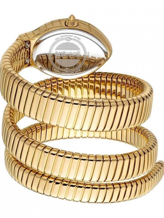 Just Cavalli JC1L248M0035 Kadın Kol Saati