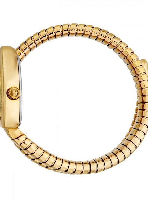 Just Cavalli JC1L249M0035 Kadın Kol Saati