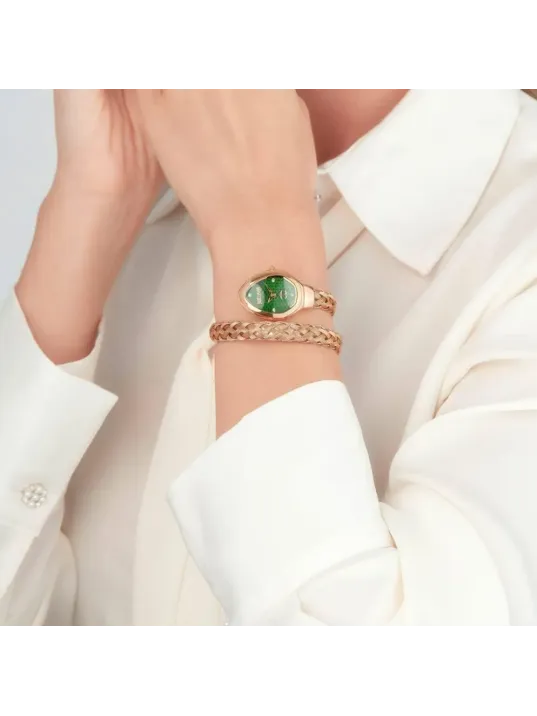 Just Cavalli JC1L264M0045 Kadın Kol Saati