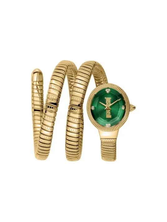 Just Cavallı JC1L269M0035 Kadın Kol Saati