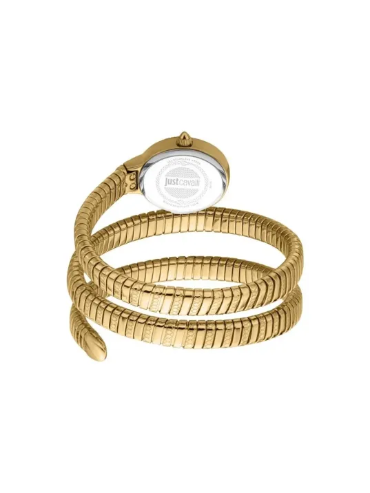 Just Cavallı JC1L269M0035 Kadın Kol Saati