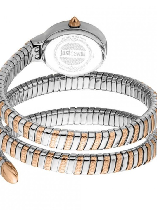 Just Cavallı JC1L269M0065 Kadın Kol Saati