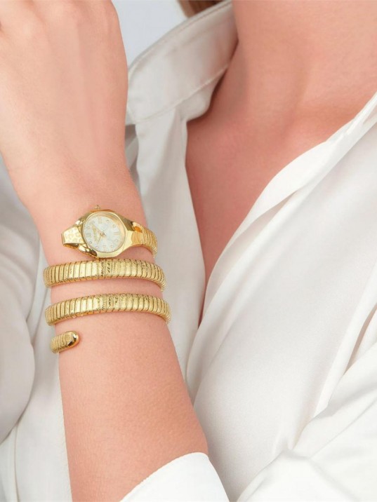 Just Cavalli JC1L271M0025 Kadın Kol Saati