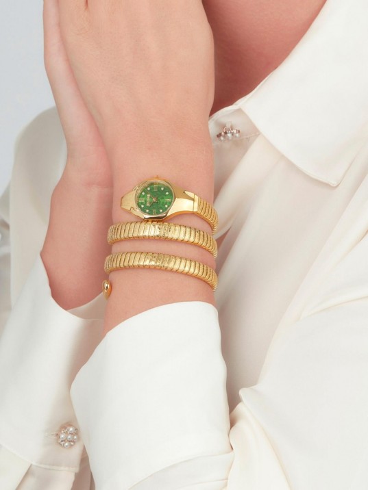 Just Cavalli JC1L271M0035 Kadın Kol Saati