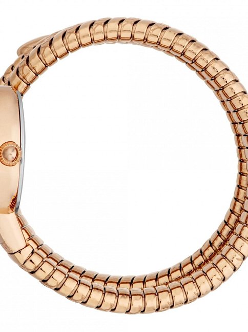 Just Cavalli JC1L302M0045 Kadın Kol Saati