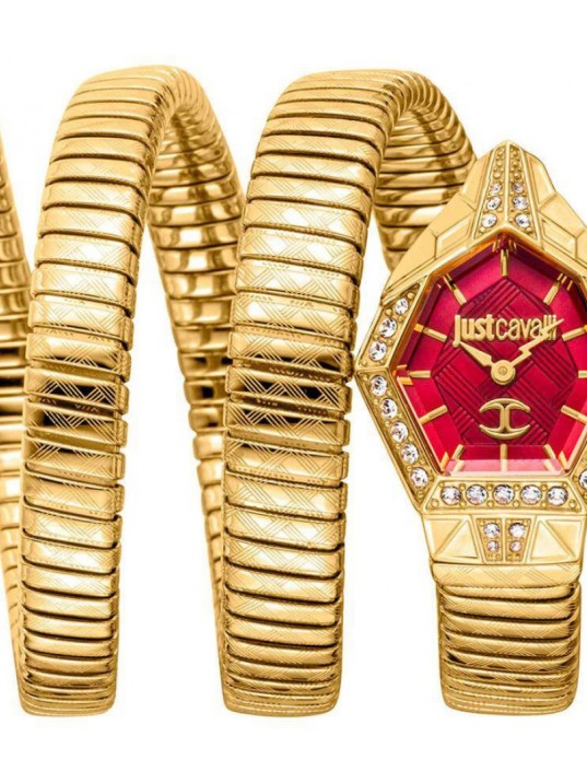 Just Cavallı JC1L304M0035 Kadın Kol Saati