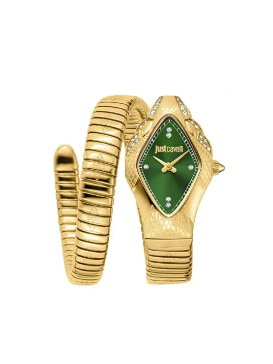 Just Cavalli JC1L306M0045 Kadın Kol Saati
