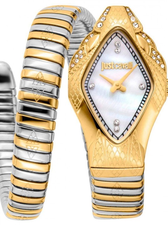 Just Cavallı JC1L306M0065 Kadın Kol Saati