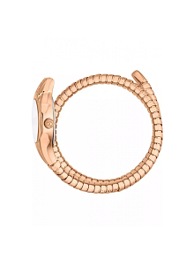 JUST CAVALLI JC1L354M0045 Kadın Kol Saati