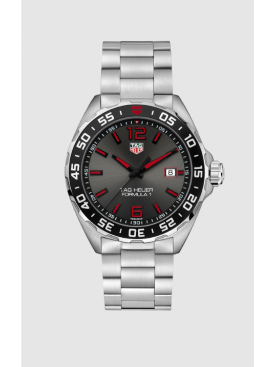 TAG HEUER WAZ1018.BA0842 FORMULA 1 Erkek Kol Saati