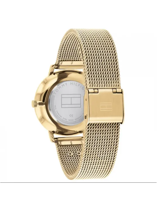 Tommy Hilfiger TH1782286 Kadın Kol Saati