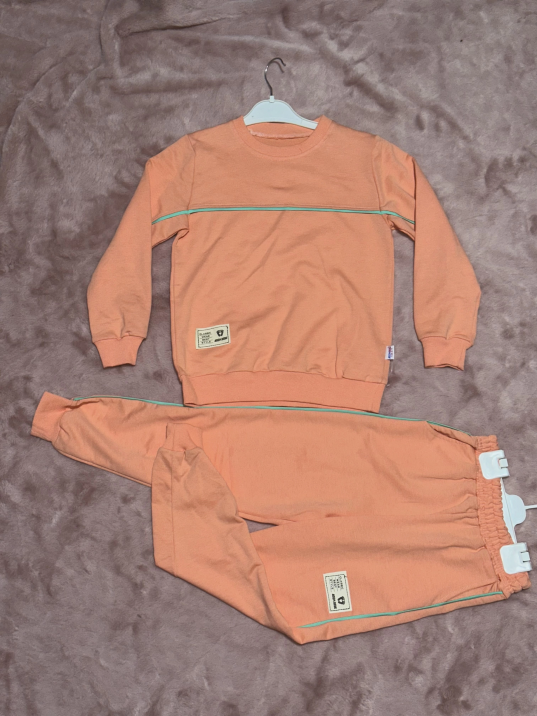 4-10 yaş kız çocuk pembe Armalı yeşilbiye detaylı alt üst ikili takım 4-10 yaş kız çocuk pembe Armalı yeşilbiye detaylı alt üst ikili takım