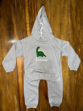 6-24 aylık araba baskılı takım gri