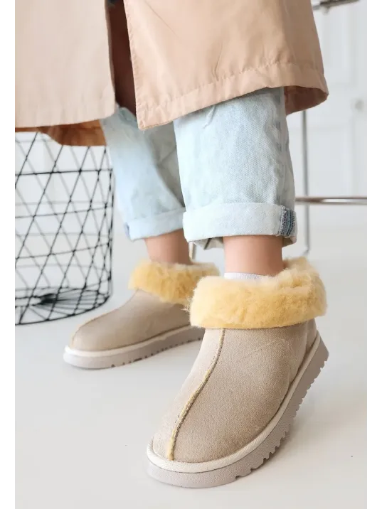 Abby Bej Süet Bot Abby Bej Süet Bot