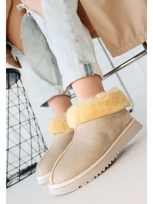 Abby Bej Süet Bot Abby Bej Süet Bot