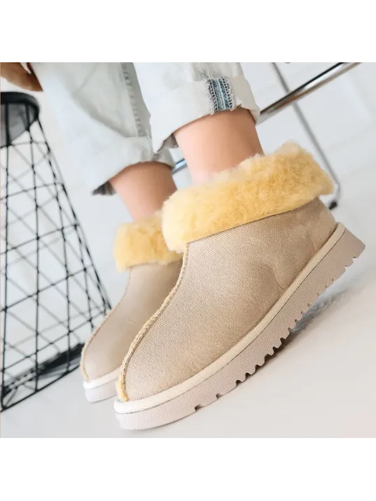 Abby Bej Süet Bot Abby Bej Süet Bot