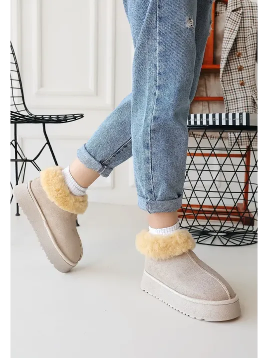 Edali Bej Süet Bot Edali Bej Süet Bot