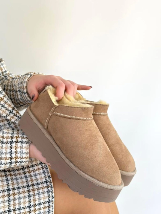 Mitay Bej Süet Bot Mitay Bej Süet Bot