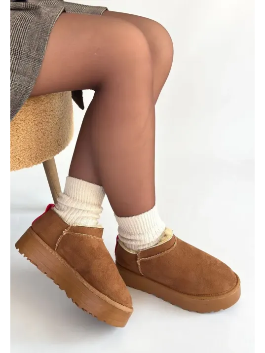 Mitay Taba Süet Bot Mitay Taba Süet Bot