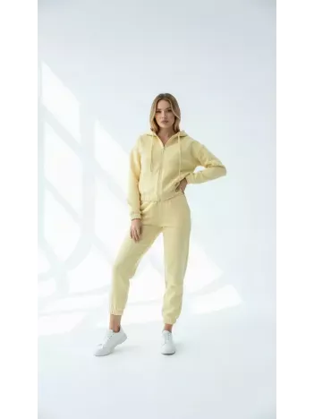 3 İplik Şardonlu Kapşonlu Fermuarlı Kısa Üst Sarı Pat8590