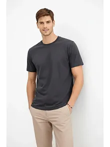 Erkek Bisiklet Yaka Tişört Regular Kalıp Basic Pamuklu Günlük Kullanım T-shirt - Füme