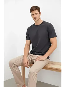 Erkek Bisiklet Yaka Tişört Regular Kalıp Basic Pamuklu Günlük Kullanım T-shirt - Füme