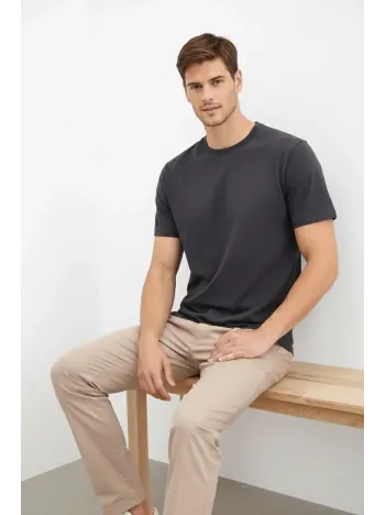 Erkek Bisiklet Yaka Tişört Regular Kalıp Basic Pamuklu Günlük Kullanım T-shirt - Füme