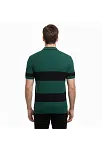 Erkek T-shirt Çizgili Triko Dokuma Kumaş Polo Yaka Yarım Fermuarlı Regular Kalıp Tişört - Çağla Yeşili