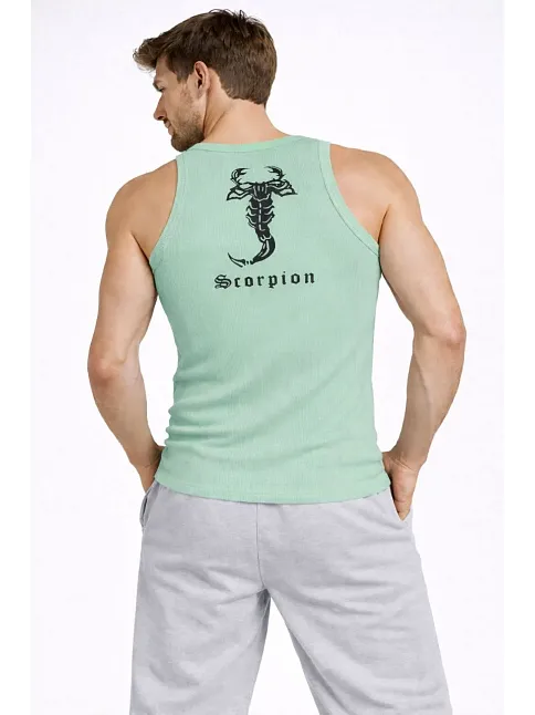 Erkek Spor Slimfit Fitilli Kaşkorse Arka Basklı Atlet 2'li Set Siyah-mint Yeşili