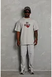 Erkek Baskılı T-shirt Kısa Kol Bisiklet Yaka Regular Fit Rahat Kalıp Günlük Tişört - Gri
