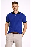 Erkek Polo Yaka Çizgili Tişört Kısa Kol Düğmeli Yazlık T-shirt - Saks Mavisi
