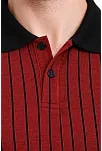 Erkek Polo Yaka Çizgili Tişört Kısa Kol Düğmeli Yazlık T-shirt - Bordo