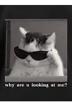 Neden Bana Bakıyorsun? Erkek Kedi Grafik Bol Kesim Siyah Tişört