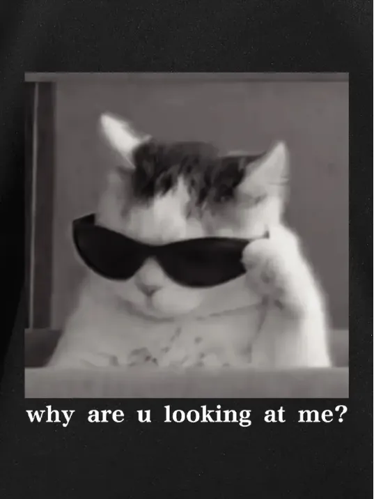 "Neden Bana Bakıyorsun?" Komik Kedi Grafik Tişört - Dijital Baskılı Siyah Bol Kesim Streetwear Tişört, Erkekler için Dört Mevsim Günlük Gömlek - Siyah