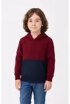 Erkek Çocuk Kapüşonlu Kanguru Cepli Parçalı Sweatshirt - Renkli