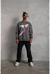 Erkek Güvercin Baskılı Sweatshirt - Gri