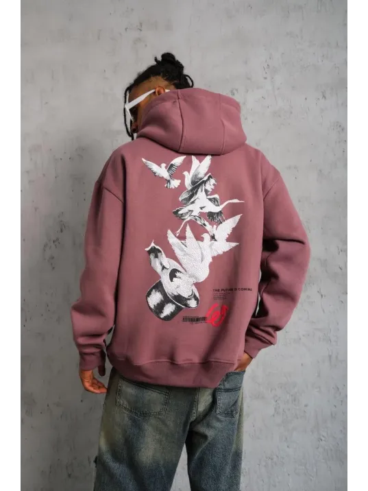 Erkek Şapkalı Güvercin Baskılı Kapşonlu Sweat - Gül Kurusu