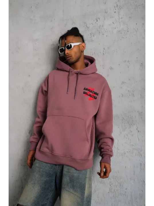 Erkek Şapkalı Güvercin Baskılı Kapşonlu Sweat - Gül Kurusu