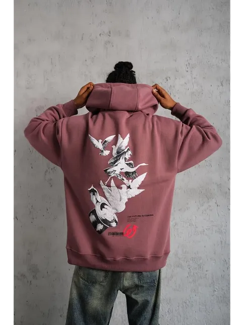 Erkek Şapkalı Güvercin Baskılı Kapşonlu Sweat - Gül Kurusu