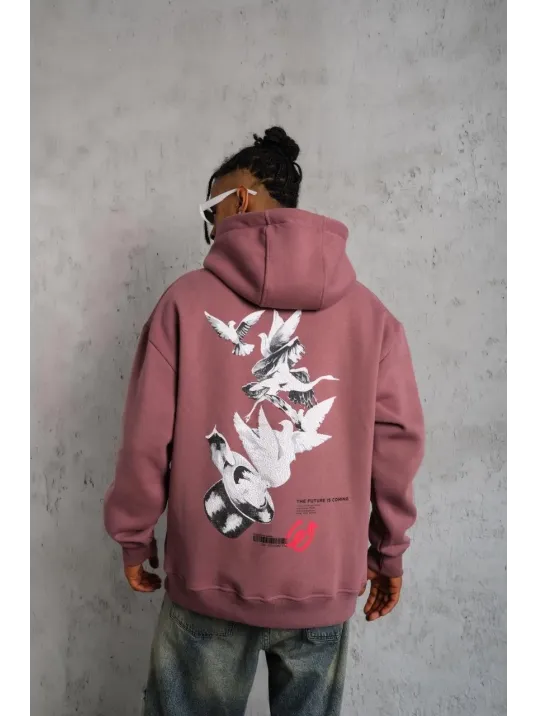 Erkek Şapkalı Güvercin Baskılı Kapşonlu Sweat - Gül Kurusu