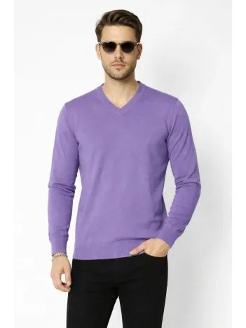 Erkek V Yaka Triko Kazak Yumuşak Dokulu Pamuklu İnce Dokuma, Uzun Kollu Rahat Regular Kalıp - Mor