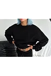 Kışlık Bisiklet Yaka Üç İplik Basic Sweatshirt - Siyah
