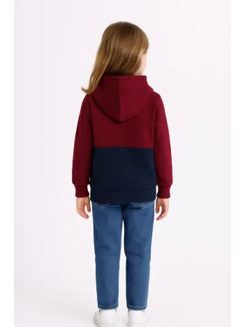 Kız Çocuk Kapüşonlu Kanguru Çepli Parçalı SweatShirt - Renkli
