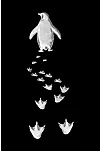 Erkek T-shirt Nihilist Penguen Baskılı Bisiklet Yaka Kısa Kol Yazlık Tişört - Siyah Erkek T-shirt Nihilist Penguen Baskılı Bisiklet Yaka Kısa Kol Yazlık Tişört - Siyah