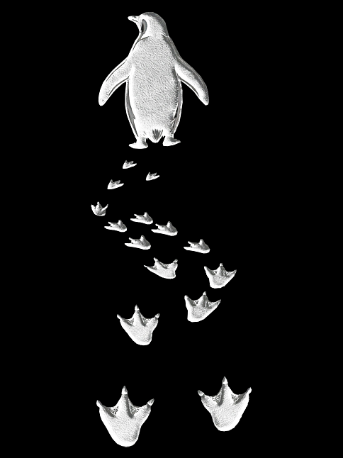 Kadın 3 İplik Pamuklu Kapüşonlu Hoodie Sweatshirt Nihilist Penguen Baskılı - Siyah Kadın 3 İplik Pamuklu Kapüşonlu Hoodie Sweatshirt Nihilist Penguen Baskılı - Siyah